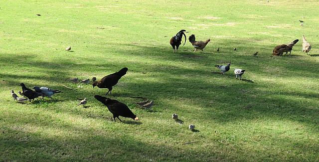 IMG 0402 - Copy