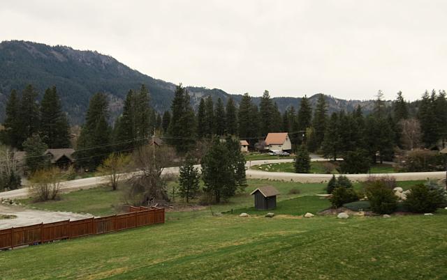 IMG 0631