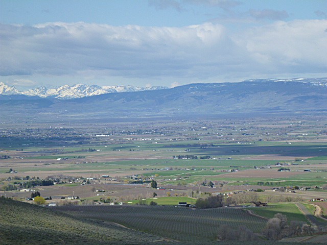 P1130853
