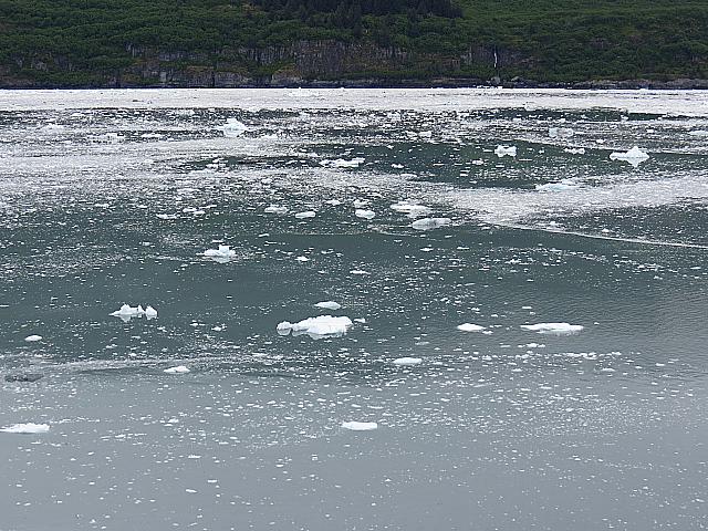 IMG 2376