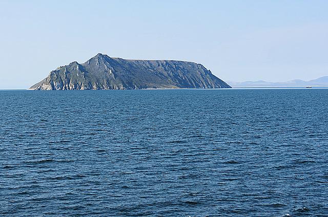 IMG 2479