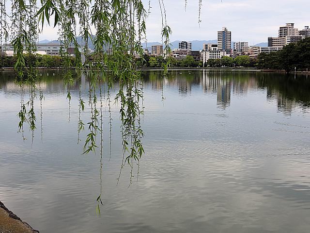 IMG 3562