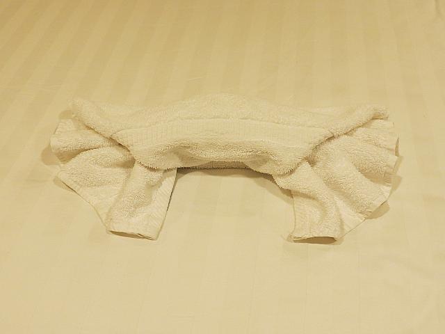 IMG 4046