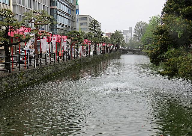 IMG 3460