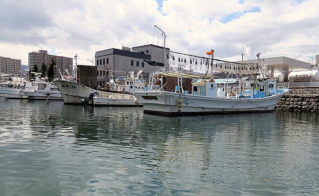 IMG 3955