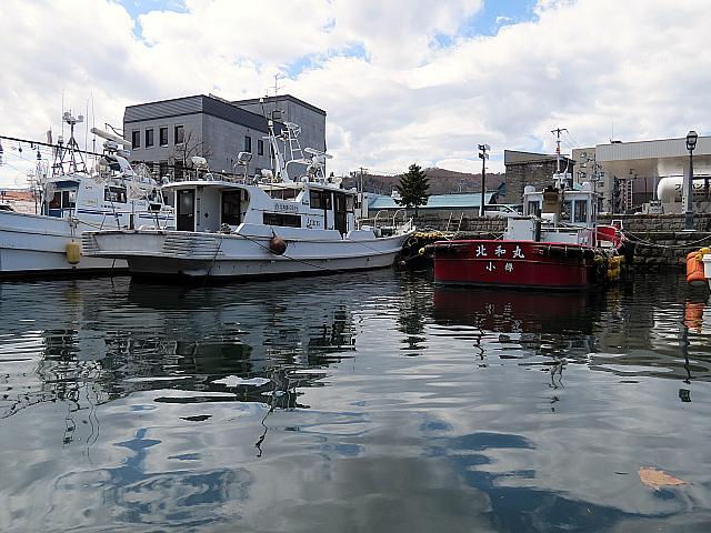 IMG 3956