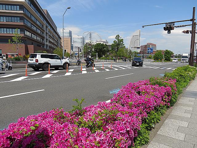 IMG 4063