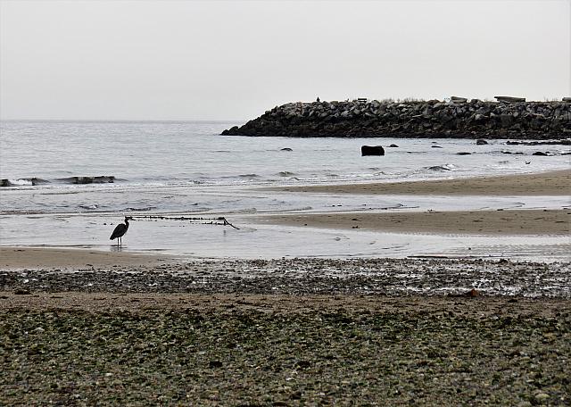 IMG 7099