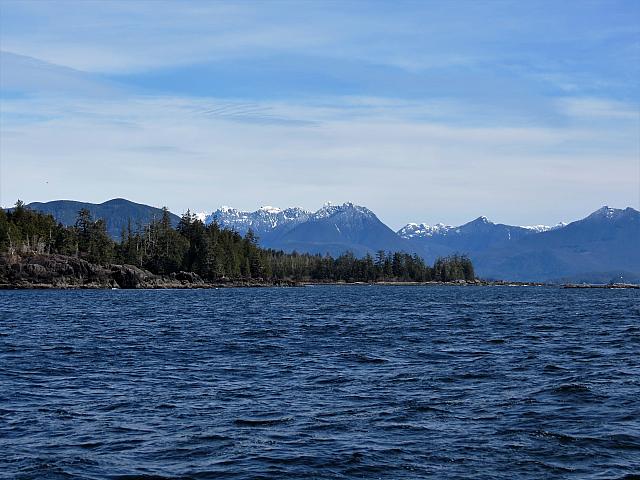 IMG 7207