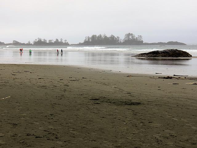 IMG 7239