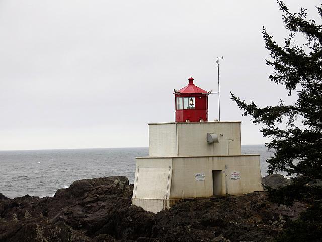 IMG 7256