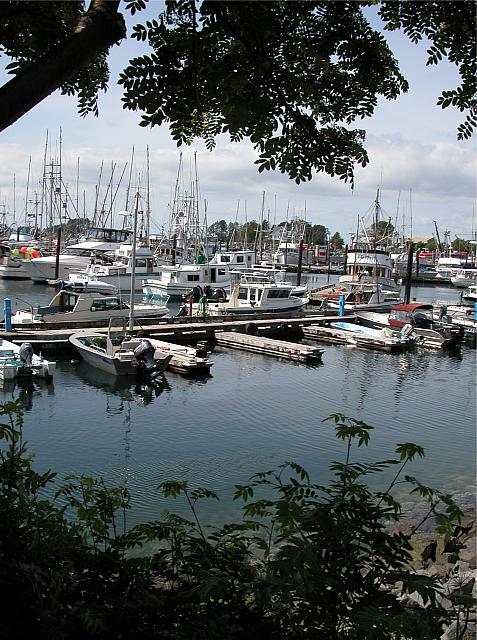 Alaska2005B 075