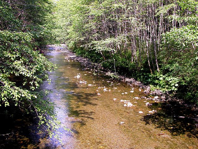 Alaska2005B 086
