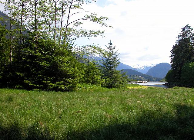 Alaska2005B 087