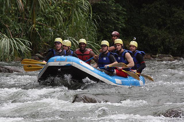 IMG 7551