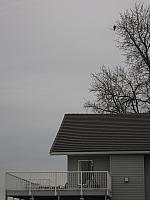 IMG 1964