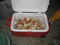 IMG 0387