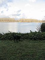 IMG 0529