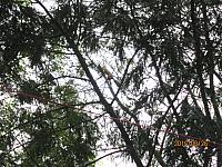 IMG 6882