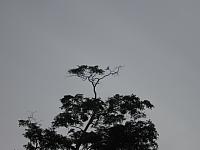 IMG 7122