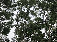 IMG 7133