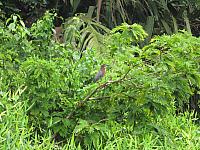 IMG 7223