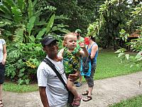 IMG 7285