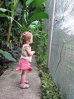 IMG 7417