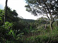 IMG 7586