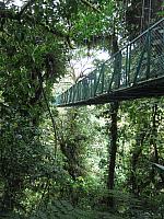 IMG 7599