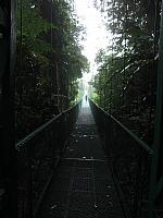 IMG 7614