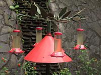 IMG 7673