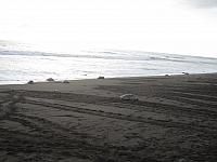 IMG 8145