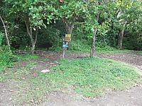 IMG 8345