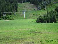 IMG 4418