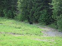 IMG 4419