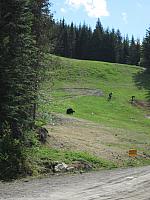 IMG 4421