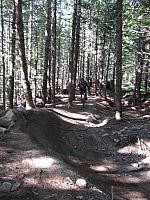 IMG 4482
