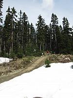 IMG 4605
