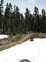 IMG 4612