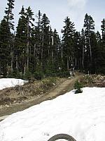 IMG 4616