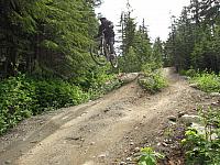 IMG 4706