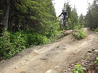 IMG 4729