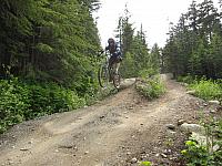 IMG 4737
