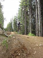 IMG 4747