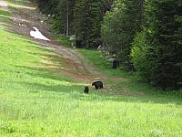 IMG 4753