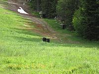 IMG 4766