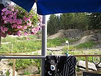 IMG 4776