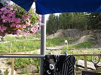 IMG 4778