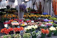 DSC 0135